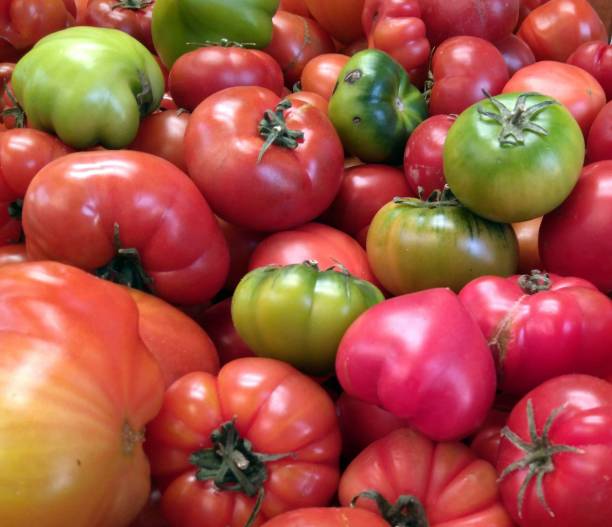 istock Bunch of green and red salad tomatoes 1148348140