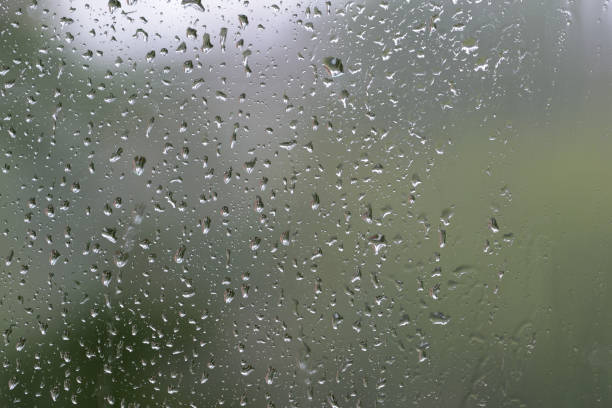 istock Raindrops on window glass during the rain close up. Natural background 1148349357