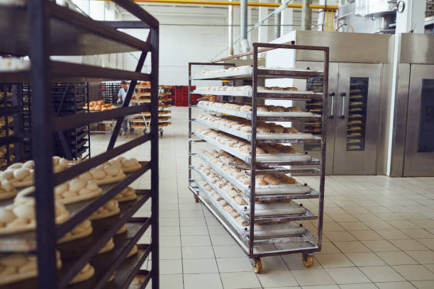 istock Raw bread on trays before baking in the oven at the bakery factory 1148355510