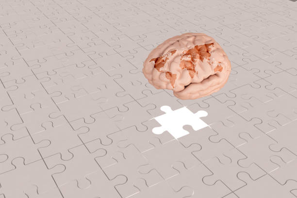 istock White Puzzle plane for World Map to Brain 1148355720