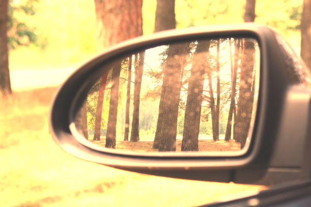 istock Car mirror with image of summer pine forest in reflection 1148358292