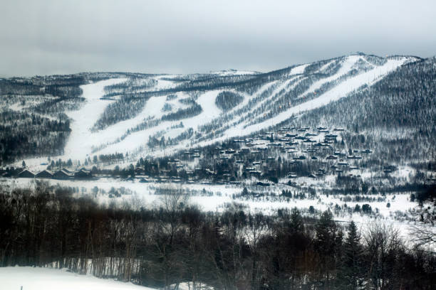 istock Alpine ski runs and village 1148362598