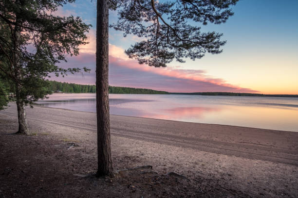 istock Idyllic sand beach landscape with sunset light ant trees at summer evening in Finland 1148362651