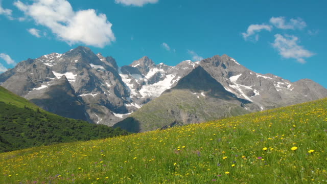 AERIAL: Flying over the blooming meadows with a view of the rocky French Alps