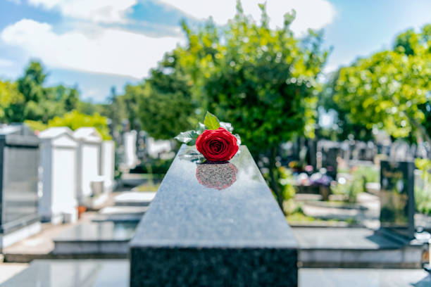 istock Flower on memorial stone close up 1148377613