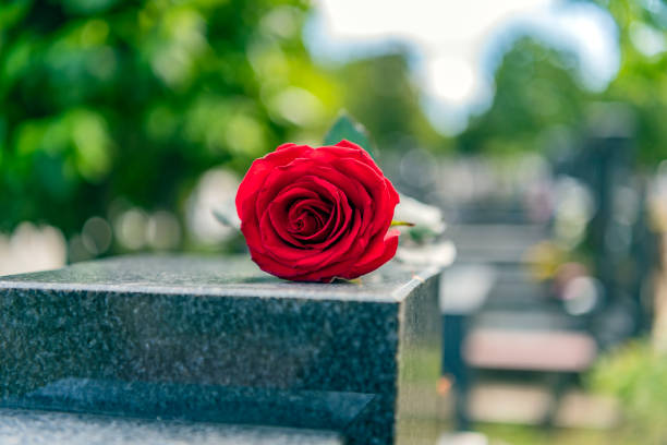 istock Flower on memorial stone close up 1148377620