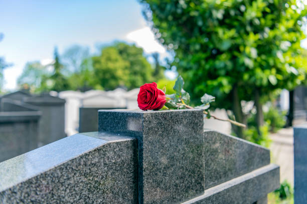 istock Flower on memorial stone close up 1148377856