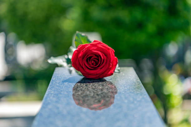 istock Flower on memorial stone close up 1148377864