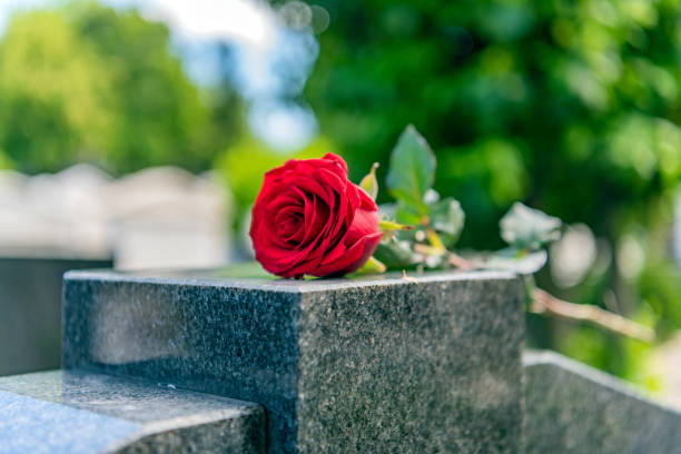 istock Flower on memorial stone close up 1148377940