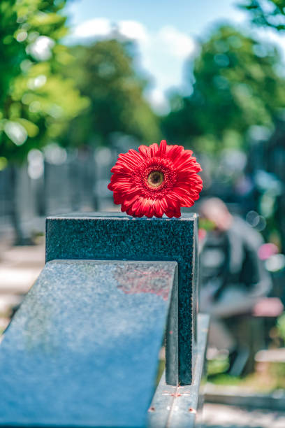 istock Flower on memorial stone close up 1148378026