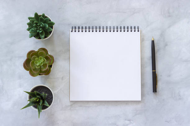 istock Three succulents and white open blank notebook, pen on marble table background. Top view Mock up Flat lay Template for your text, design 1148378846