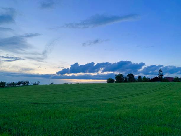 istock Dramatic blue sky at sunset over rural landscape 1148381990