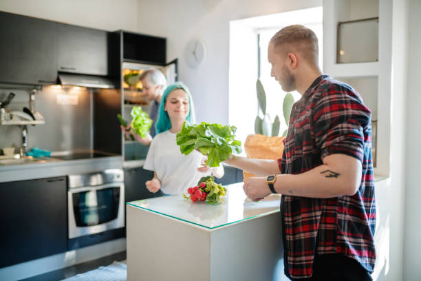 Passing green leaf lettuce to his female flatmate Young man passing green leaf lettuce to his anime-like female flatmate over kitchen bar counter flatmate stock pictures, royalty-free photos & images