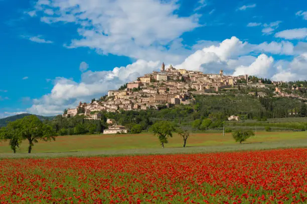 The awesome medieval town in Umbria region, central Italy, during the spring and flowering of poppies.
