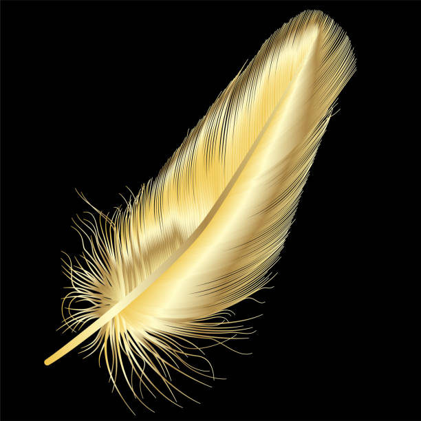 Feather Isolated Stock Illustration - Download Image Now - Gold Colored,  Feather, Animal Wing - iStock