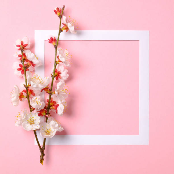 istock Flat lay frame with blossom sakura branches, leaves and petals on watercolor spring background. Top view, floral frame, abstract design. Invitation, greeting card or an element for your design. 1148396585