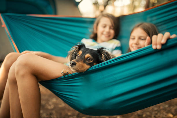 istock Children relaxing in hammock with dog 1148397584