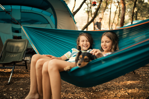 Boy and girl and their dog relaxing in hammock in camp which is located in forest. Behind them is tent. They looks very cute and happy, careless and playful.