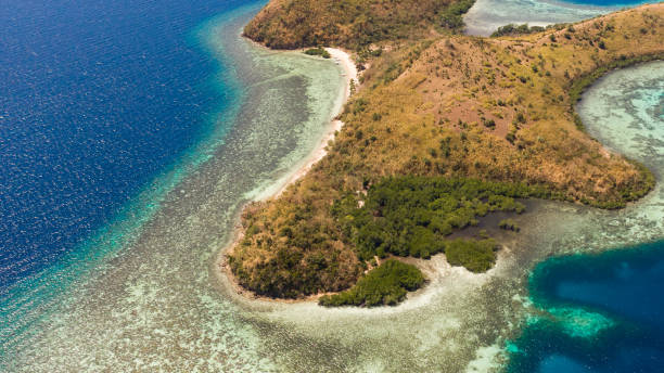 istock Island with coral reefs, view from the top 1148398929