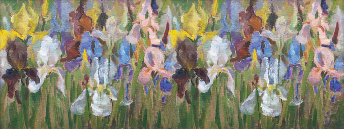 Fashionable illustration modern art work my original oil painting on canvas impressionism horizontal landscape sunlit spring flowers irises white pink purple yellow blooming on a  green flowerbed against the background of leaves of buds of grass green