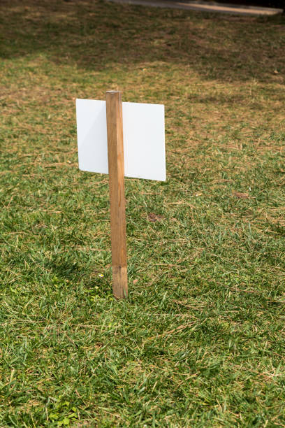 istock BackCartel in the meadow 1148402525