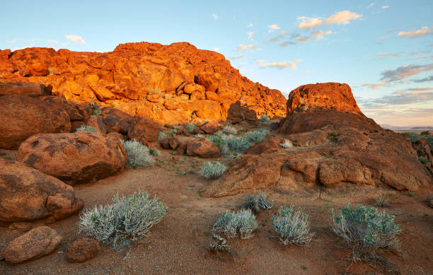 istock Beautiful Namibian landscape 1148402541