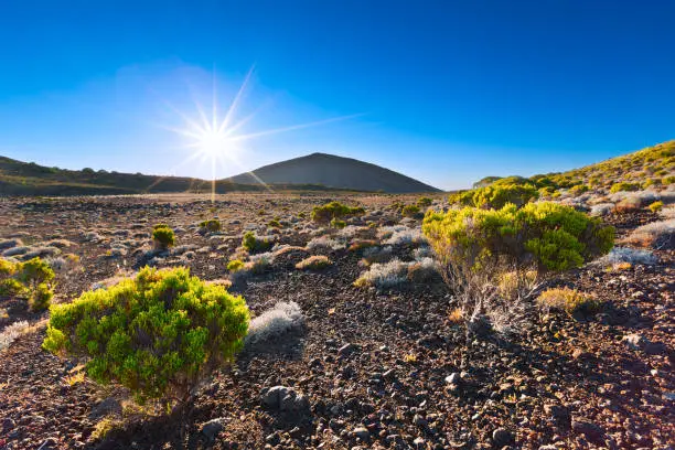 Piton de la fournaise , reunion island, volcano landscape