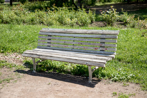 istock Old bench in the park at summer 1148404426