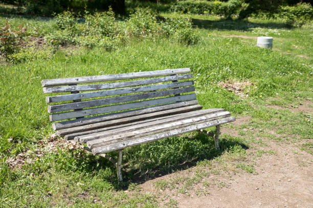 istock Old bench in the park at summer 1148405507