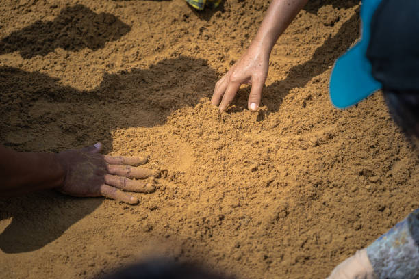 istock digging hands to find rice seeds in the soil 1148414877