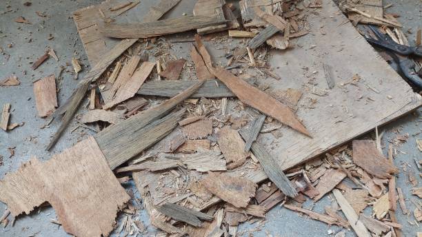 istock Wood in pieces looks amazing 1148415946