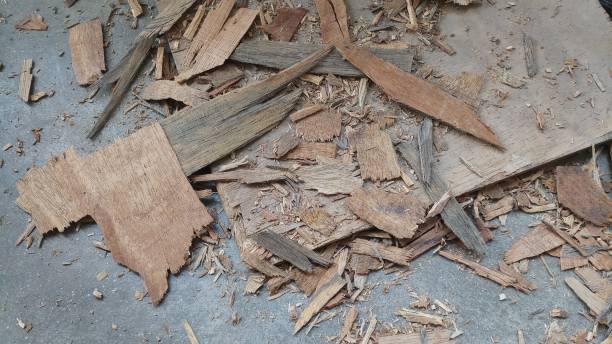 istock Wood in pieces looks amazing 1148416564