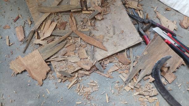 istock Wood in pieces looks amazing 1148416586