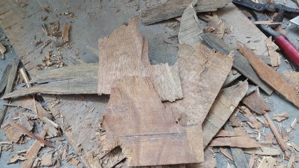 istock Wood in pieces looks amazing 1148416728