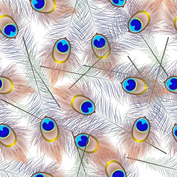 Vector illustration of Beautiful seamless pattern with peacock feathers.