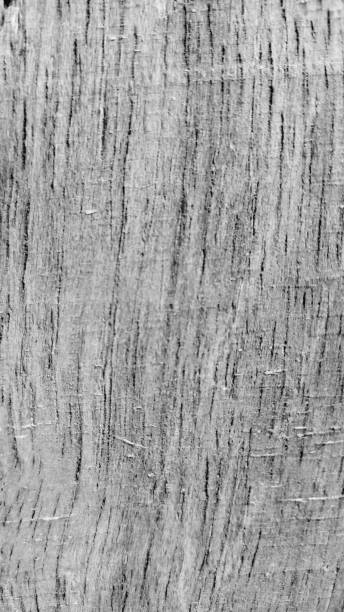istock Wood in monochrome. 1148417065
