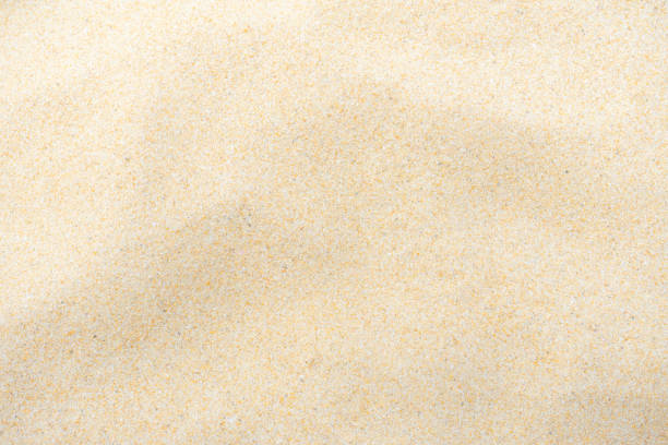 istock Fine beach sand in the summer sun 1148417830