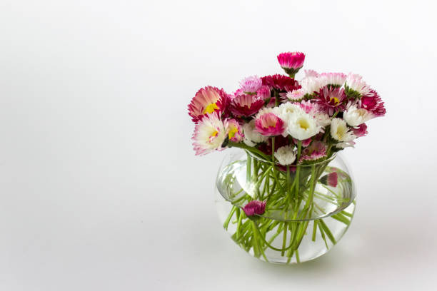 istock Little glass vase with spring garden pink white daisies 1148421262