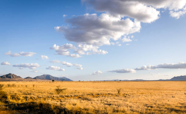 istock Savannah plains landscape in Kenya 1148423913