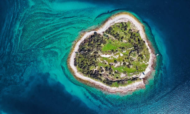 Top aerial view of desert island, Brijuni park, Croatia Overhead aerial panorama of desert island in Brijuni park, Croatia archipelago photos stock pictures, royalty-free photos & images