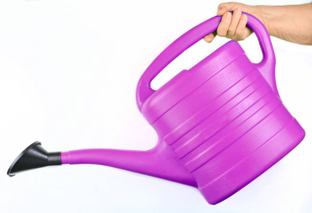istock Plastic purple watering can for plants in hand isolated on white 1148425507