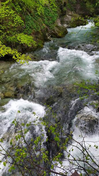 istock Vintgar Gorge in Julian Alps 1148425603