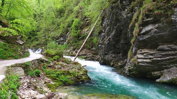 istock Vintgar Gorge in Julian Alps 1148426216