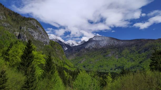 istock Mountain view in Voje valley, Slovenia 1148426293