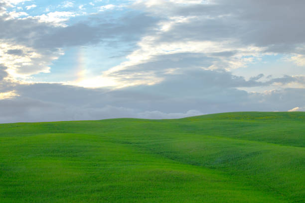 Green hills with green meadows in Val d'Orcia, Tuscany stock photo