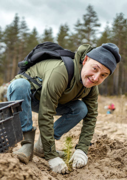 istock Voluntary Assistance In Wood Reforestation. Young Man Planting Pine Sapling 1148427049