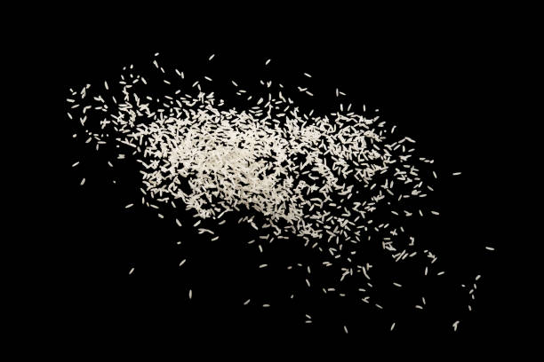 istock Stop motion white rice splash or explode flying in the air  isolated on black background food object design 1148432171