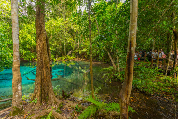istock Emerald Pool (Sra Morakot) in Krabi province, Thailand. 1148435496