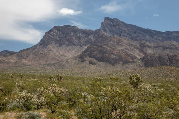 istock Gold Butte National Monument 1148435501