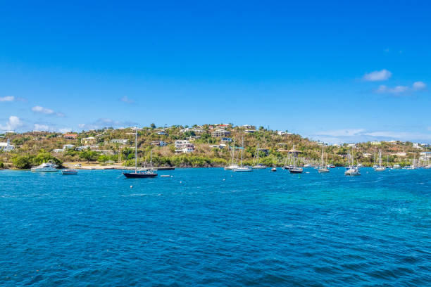 istock Tropcial island marina 1148437294